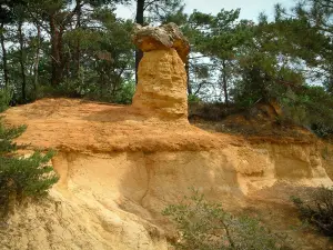 Provenzalisches Colorado - Kleiner Kamin der Feen, Bäume (ehemaliger Ocker-Steinbruch von Rustrel)