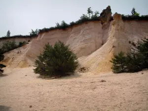 Provenzalisches Colorado - Weisse Wüste mit Sand, Bäumen und kleinen Felsen (ehemaliger Ocker-Steinbruch von Rustrel)