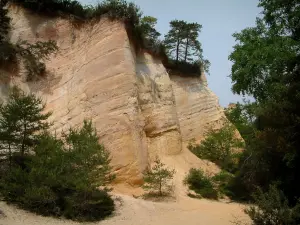 Provenzalisches Colorado - Weisser Sand, Bäume und kleine Felsen (ehemaliger Ocker-Steinbruch von Rustrel)