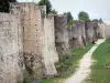 Provins - Enceinte fortifiée (fortifications médiévales) de la ville haute : remparts et tours ; promenade des remparts