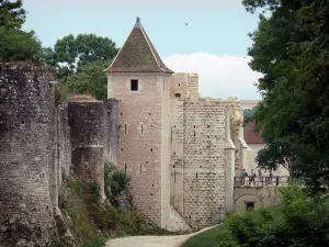 Provins - Fortificato (fortificazioni medievali) della cinta muraria e torri superiori