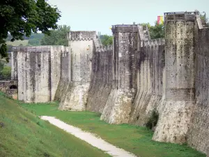 Provins - Fortificato (fortificazioni medievali) della cinta muraria e torri superiori, a piedi dei bastioni