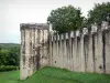 Provins - Fortified walls (medieval fortifications) of the upper town: ramparts and tower