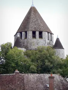 Provins - Cesare Tower (torre, torre di avvistamento), alberi e il tetto di una casa