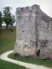 Provins - Tower of the walled town (medieval fortifications) and ramparts walk