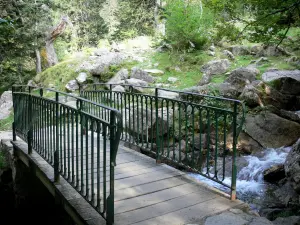 Puente de España - Sitio Natural de el puente de España: pequeño puente sobre el río Gave (río), las rocas y los árboles en el Parque Nacional de los Pirineos, la ciudad de Cauterets