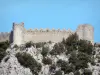 Puilaurensの城 - 要塞の塔と刻まれた囲い