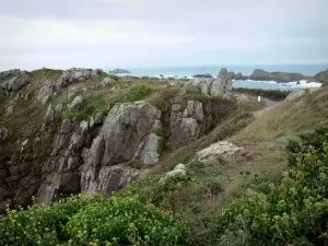 Punta de Grouin - Las rocas, la hierba, la vegetación y senderos