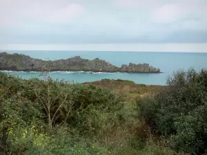 Punta de Grouin - Los arbustos, brezo, las rocas y el mar