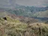 Puy de Dôme - Volcán de la Puys (Monts Dome): vista del paisaje circundante, en el Parque Natural Regional de los Volcanes de Auvernia