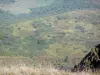 Puy de Dôme - Volcán de la Puys (Monts Dome): vista del paisaje circundante, en el Parque Natural Regional de los Volcanes de Auvernia