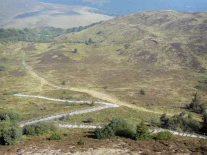 Puy de Dôme - Angelegter Pfad gesäumt von Heide führend zum Gipfel des Puy de Dôme (Vulkan der Bergkette der Puys); im Regionalen Naturpark der Vulkane der Auvergne