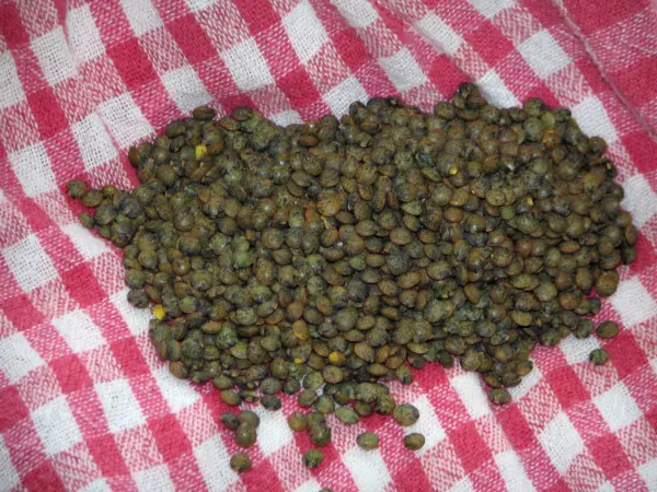 The Le Puy green lentil - Gastronomy, holidays & weekends guide in the Haute-Loire