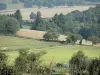 Puy Saint-Ambroise - Vue sur les pâturages, champs et arbres alentours