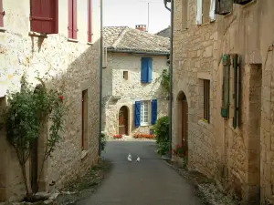 Puycelsi - Narrow street with doves and stone houses decorated with flowers