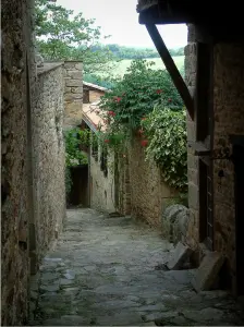 Puycelsi - Calle en cuesta empedrada con sus casas decoradas con plantas