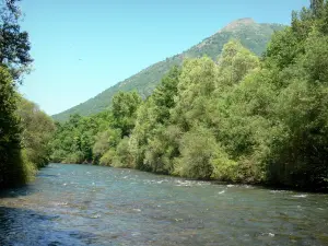 Pyrenees National Park - Ossau valley: Gave d'Ossau river lined with trees