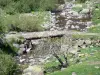 Pyrenees National Park - Small bridge over the Gave de Bious river