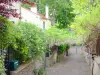 Quartier de la Mouzaïa - Ruelle pavée bordée de petites maisons et de végétation en fleurs