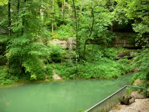 Quelle des Ain - Quelle des Flusses Ain, Bäume am Wasserrand