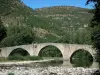 Quézac - Quézac middeleeuwse brug bij de ingang van de Gorges van de Tarn, in het Parc National des Cevennes