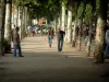 Rabastens - Walk lined with plane trees with pétanque players