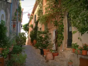 Ramatuelle - La calle llena de flores, plantas en macetas y las casas de frente cubiertas de plantas trepadoras