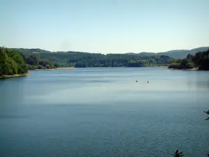 Raviège lake - Lake and forests (Upper Languedoc Regional Nature Park)