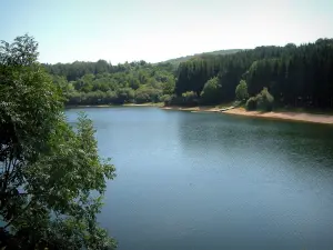 Raviège lake - Tree in foreground, lake, shore and forest (Upper Languedoc Regional Nature Park)