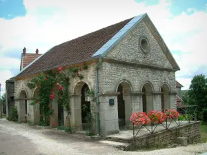 Ray-sur-Saône - Washhouse covered by arches (fountain-washhouse) with climbing roses (red roses) and geraniums (geranium flowers)