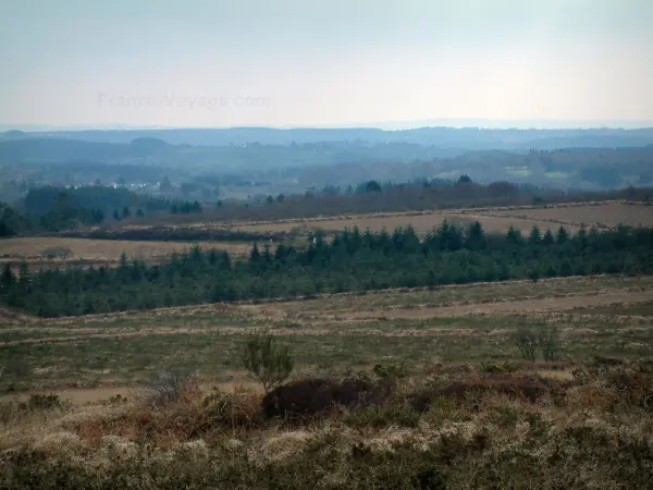 Regionaal Natuurpark van Armorique - Arree bergen: dorre uitgestrektheid bedekt met heide en heide, met bossen onder