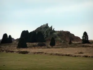 Regionaal Natuurpark van Armorique - Trévezel rock, bomen en dorre woestenij