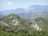 Regionaal natuurpark van Baronnies provençales - Panorama van de bergen bedekt met vegetatie
