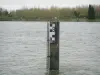 Regionaal Natuurpark Boucles de la Seine Normande - River (de Seine) en op de wal met bomen