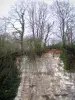 Regionaal Natuurpark Boucles de la Seine Normande - Cliff en bomen