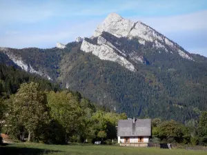 Regionaal Natuurpark van Chartreuse - Chartreuse: huis, weide, bomen, bossen en bergen