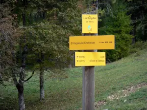 Regionaal Natuurpark van Chartreuse - Chartreuse: panelen wandelen, bomen op de achtergrond