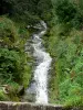 Regionaal Natuurpark van Hoge-Jura - Waterval en vegetatie