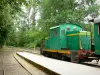 Regionaal Natuurpark Les Landes de Gascogne - Train Marquèze, Sabres, wat leidt tot het museum van de Grote Heide Marquèze en volgen omzoomde