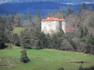 Regionaal Natuurpark Livradois-Forez - Château de Servières omgeven door bomen, in de stad Saint-Didier-sur-Doulon