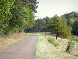 Regionaal Natuurpark Lotharingen - Kleine landweg