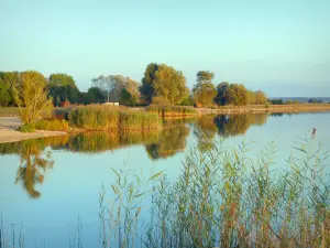 Regionaal Natuurpark Lotharingen - Madine-meer