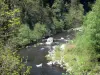 Regionaal Natuurpark van de Monts d'Ardèche - Valley Eyrieux: bomen langs de rivier Eyrieux