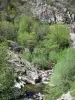 Regionaal Natuurpark van de Monts d'Ardèche - Valley Volane: bomen langs de rivier Volane