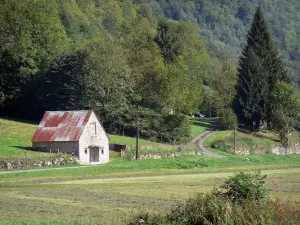 Regionaal Natuurpark van de Pyreneeën van de Ariège - Schuur, weilanden en bomen in de vallei van Garbet in Couserans