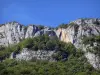 Regionaal Natuurpark van Vercors - Rotswanden en vegetatie