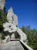 Regionaal Natuurpark van Vercors - Rotswanden domineren de weg naar Combe Laval