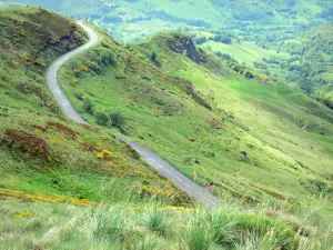 Regionaal Natuurpark van de vulkanen van Auvergne - Monts du Cantal: weg door ongerepte groen landschap