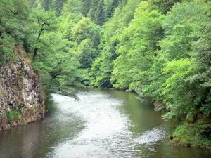 Regionaal Natuurpark van de vulkanen van Auvergne - Gorges de la Rhue: bomen langs de rivier Rhue