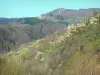 Regional Natural Park of the Ardèche Mountains - Green landscape